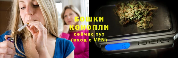 молекула духа Сосновоборск