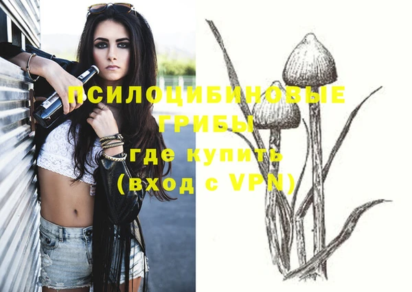 молекула духа Сосновоборск