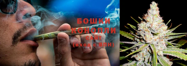молекула духа Сосновоборск