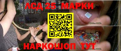 амф Донской