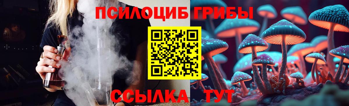 Галлюциногенные грибы Psilocybine cubensis  Вход с VPN  Фрязино 