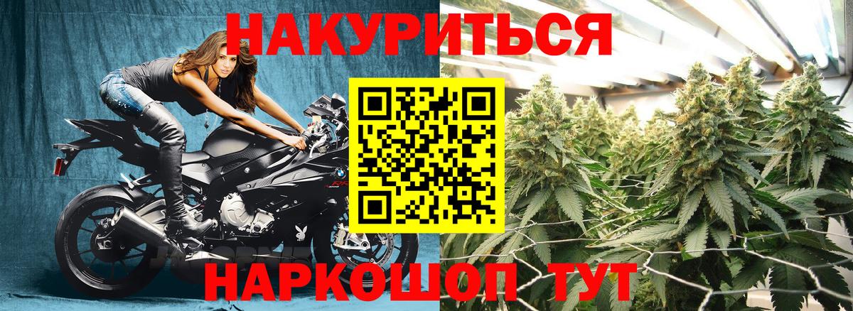 Каннабис OG Kush Фрязино